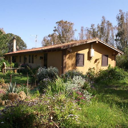 Tharros B&B San Giovanni di Sinis Exterior foto